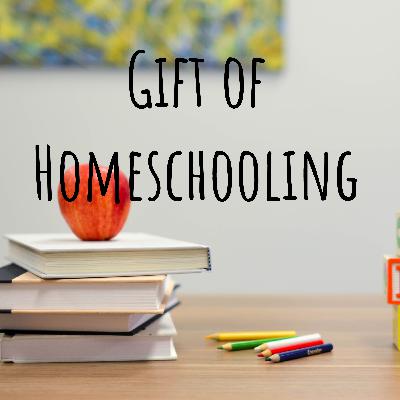 Why the enemy fights your homeschooling - the hidden battle you must win!