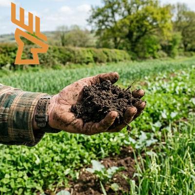 Episode 220 Regenerative Deer Food Plots, No Weeds, Natural Amendments, Higher Attraction Episode 220 Regenerative Deer Food Plots, No Weeds, Natural Amendments, Higher Attraction