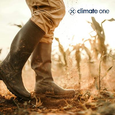 Crop Shoot: Farmers Caught Up In Policy Turmoil Crop Shoot: Farmers Caught Up In Policy Turmoil