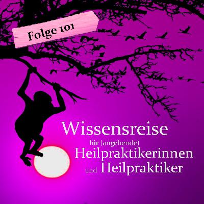 Leber-Pathologie: Fettlebererkrankung (Folge 101)
