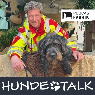 PSNV-Hund Lafayette - Eisbrecher und Seelentröster PSNV-Hund Lafayette - Eisbrecher und Seelentröster