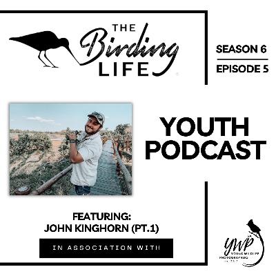 Season 6: Ep 5 | Chasing Feathers with one of SA's Birding Big Year Big Guns