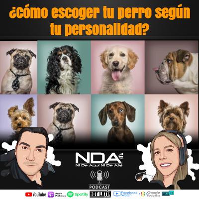 🐶¿CÓMO ESCOGER TU #PERRO 🐕‍🦺 SEGÚN TU #PERSONALIDAD?😎 | #NIDEAQUINIDEALLAPODCAST: EP15