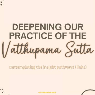 DEEPENING OUR PRACTICE OF THE VATTHUPAMA SUTTA - Contemplating the insight pathways (links)