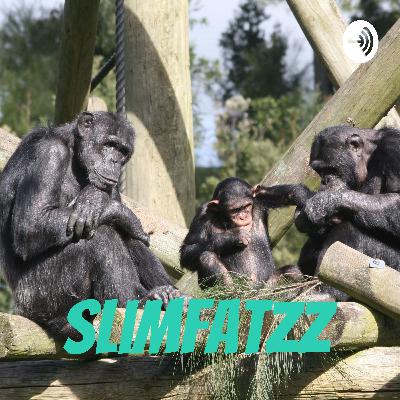 slimFATZZ Podcast Episode Three Hundred And Sixty Nine