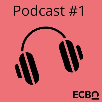 Praktijk ontmoet Onderzoek afl1. Ontwikkelingsgericht Begeleiden