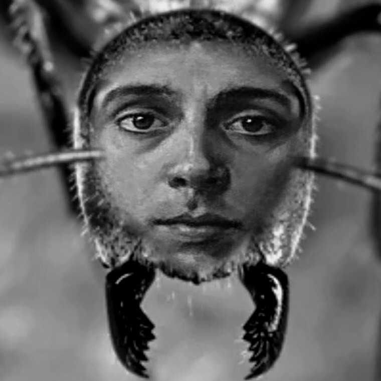 "An Antz Life" How It Could Have Gone with Ryan Cuddihy episode artwork