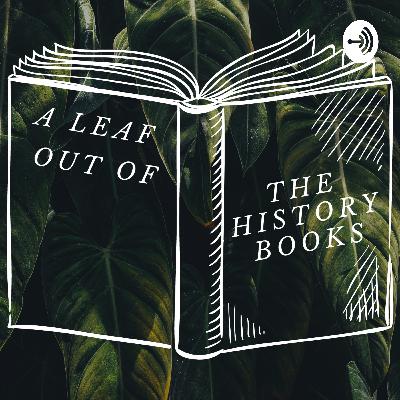 Diverse and Fabulous: The History of Mental Health and Neurodivergency