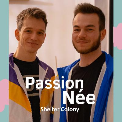 #6 Shelter Colony, la musique avant tout