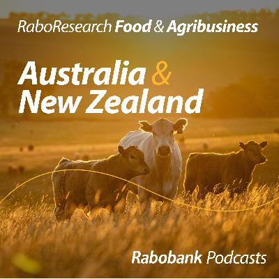 What’s driving the US beef market: firm demand, high supplies, and strong imports