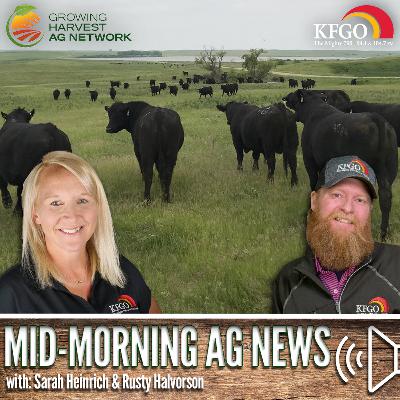 Mid-morning Ag News, October 22, 2025: Cattle backgrounding program being held November 6