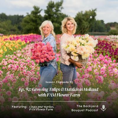 Ep. 92: Growing Tulips & Dahlias in Holland with FAM Flower Farm