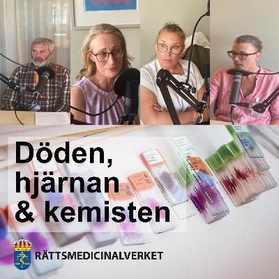 Strypvåld