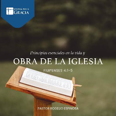 Principios esenciales en la vida y obra de la Iglesia