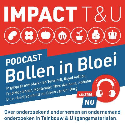 Bollen in Bloei