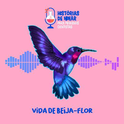 #13 Vida de beija-flor