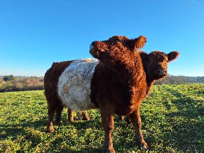 Expériences de "nature" à la ferme, du bio!