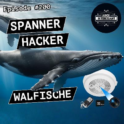 #200 Spanner, Hacker, Walfische #200 Spanner, Hacker, Walfische