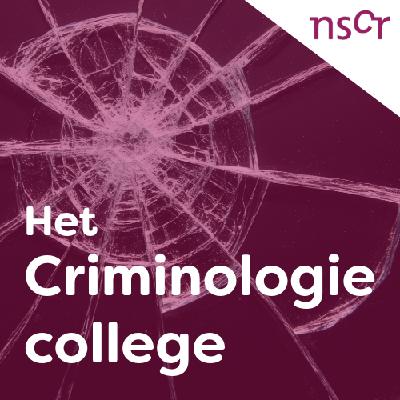 Misdaad om gezien te worden: is er een patroon in de plaatsing van graffiti?