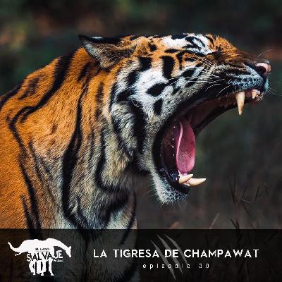 La Tigresa De Champawat
