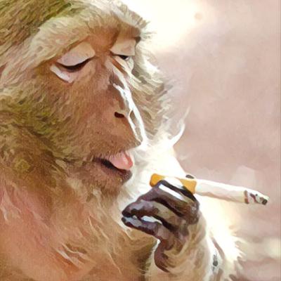 Orangutan Rehab - #110 Orangutan Rehab - #110