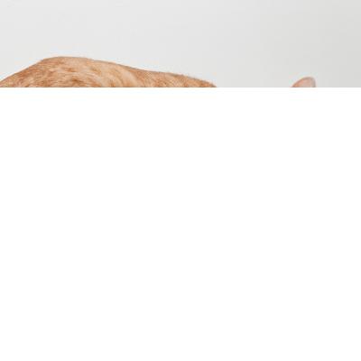 EP5 | Event Planning 101 | Event Planning cho người làm...biếng EP5 | Event Planning 101 | Event Planning cho người làm...biếng