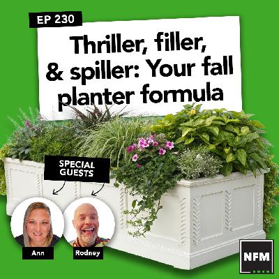 Thriller, filler, & spiller: Your fall planter formula