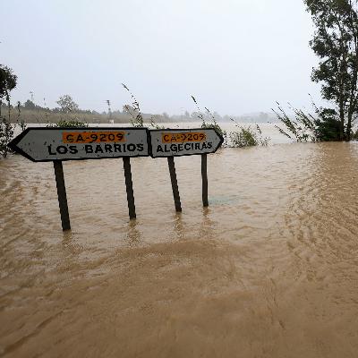 Mundo rural - Frente común daños temporal - 18/02/26