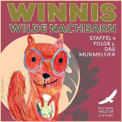 Staffel 4 / Folge 1 Das Murmeltier: Schrei-Alarm, Gruppen-Kuscheln und Kugel-Bauch