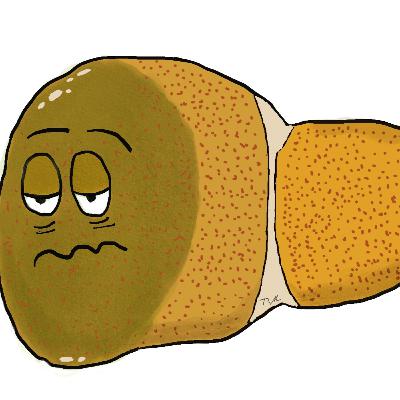 Possível Sindrome Hepato adrenal em gatos e a lipidose hepatica