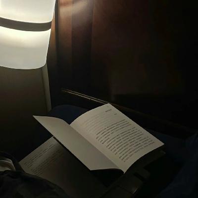 Vol.46|在暮色的森林里,呼吸自由的氧气。 Vol.46|在暮色的森林里,呼吸自由的氧气。