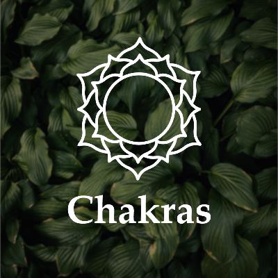 Meditação guiada - limpeza e equilíbrio dos chakras