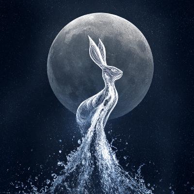 The Sasa Jataka's Divine Test: The Selfless Hare and His Thieving Friends