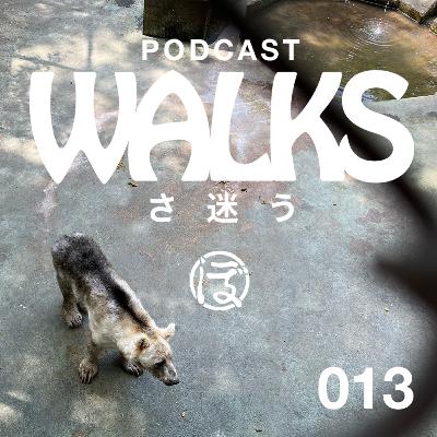 「WALKS（さ迷う）No.13（藤田光治さんと散歩）」