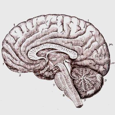 192: Food for Thought pt. 1