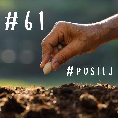 #️⃣6️⃣1️⃣ - #posiej #️⃣6️⃣1️⃣ - #posiej