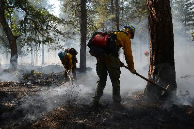 The Fire-Resilient Future (Part I)
