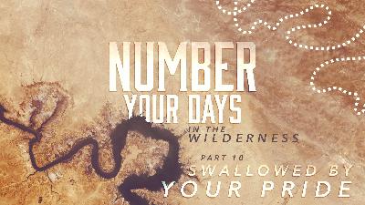 SWALLOWED BY YOUR PRIDE SWALLOWED BY YOUR PRIDE