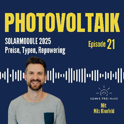 Solarmodule kaufen - Worauf solltest du achten und was gibt es am Markt?