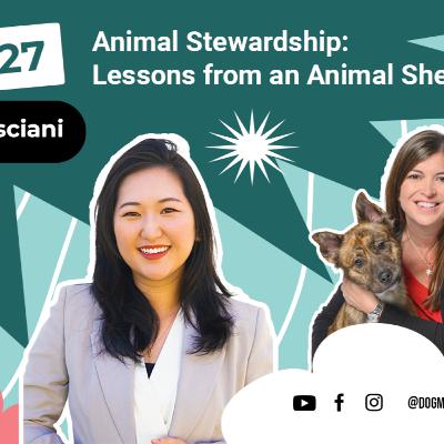 Ep #27 - Animal Stewardship: Lessons from an Animal Shelter CEO (ft. Nikole Bresciani) Ep #27 - Animal Stewardship: Lessons from an Animal Shelter CEO (ft. Nikole Bresciani)