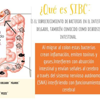 SIBO, cambios en las deposiciones 💩