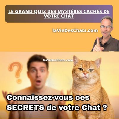 5 MYSTÈRES CACHÉS DE VOTRE CHAT (le quiz qui RÉVÈLE tout) 5 MYSTÈRES CACHÉS DE VOTRE CHAT (le quiz qui RÉVÈLE tout)