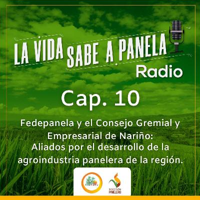 Capítulo 10 - Fedepanela y el Consejo Gremial y Empresarial de Nariño: Aliados por el desarrollo de la agroindustria panelera de la región Capítulo 10 - Fedepanela y el Consejo Gremial y Empresarial de Nariño: Aliados por el desarrollo de la agroindustria panelera de la región