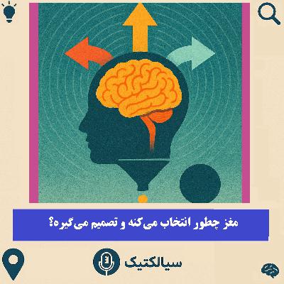 سیالکتیک: مغز چطور انتخاب می‌کنه و تصمیم می‌گیره؟