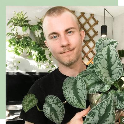 Nick Pileggi | Getting Started with Houseplants & Pet Parenting Tips | Wine Down the Week Ep 2 Nick Pileggi | Getting Started with Houseplants & Pet Parenting Tips | Wine Down the Week Ep 2