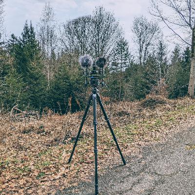 Relaxing nature ambient soundscape, Entspannende Naturklänge