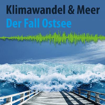 01 Faktencheck Klimawandel Ostsee: wärmer, höher, süßer