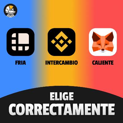 Cómo proteger tu cripto: Hot Wallets vs Cold Wallets vs Exchanges