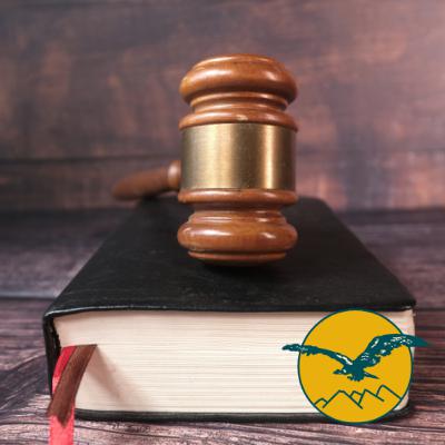 Maestría en Derecho Constitucional