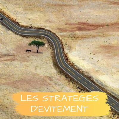 Les stratégies d'évitement Les stratégies d'évitement